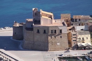 IMG 0556