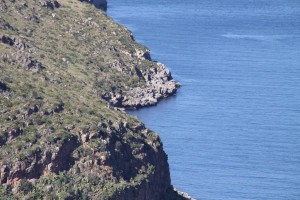 IMG 0560
