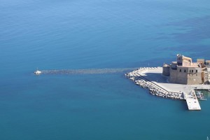 IMG 0561