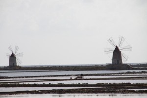 IMG 1906 - Copia